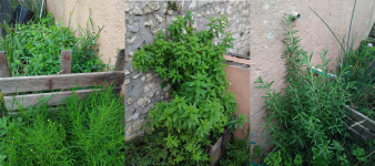 travaux de jardinage.png2.png