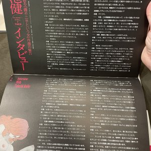 TWCFM Artbook Koike Interview 2