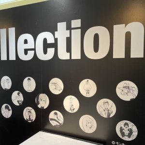 MP Collection Entrance Wrap