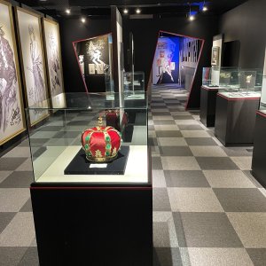 MP Collection Artefacts Wide Shot