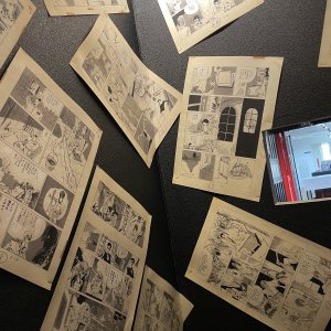 MP Collection Many Pages