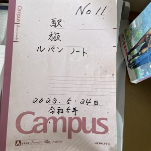 Lupin Notebooks Outside 1