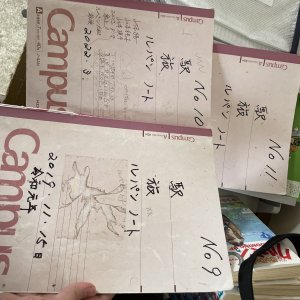 Lupin Notebooks Outside 2